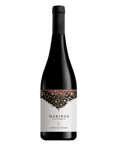 Il Conte Villa Prandone, Rosso Piceno Superiore DOP Marinus